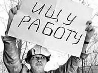 В помощь профессионалам